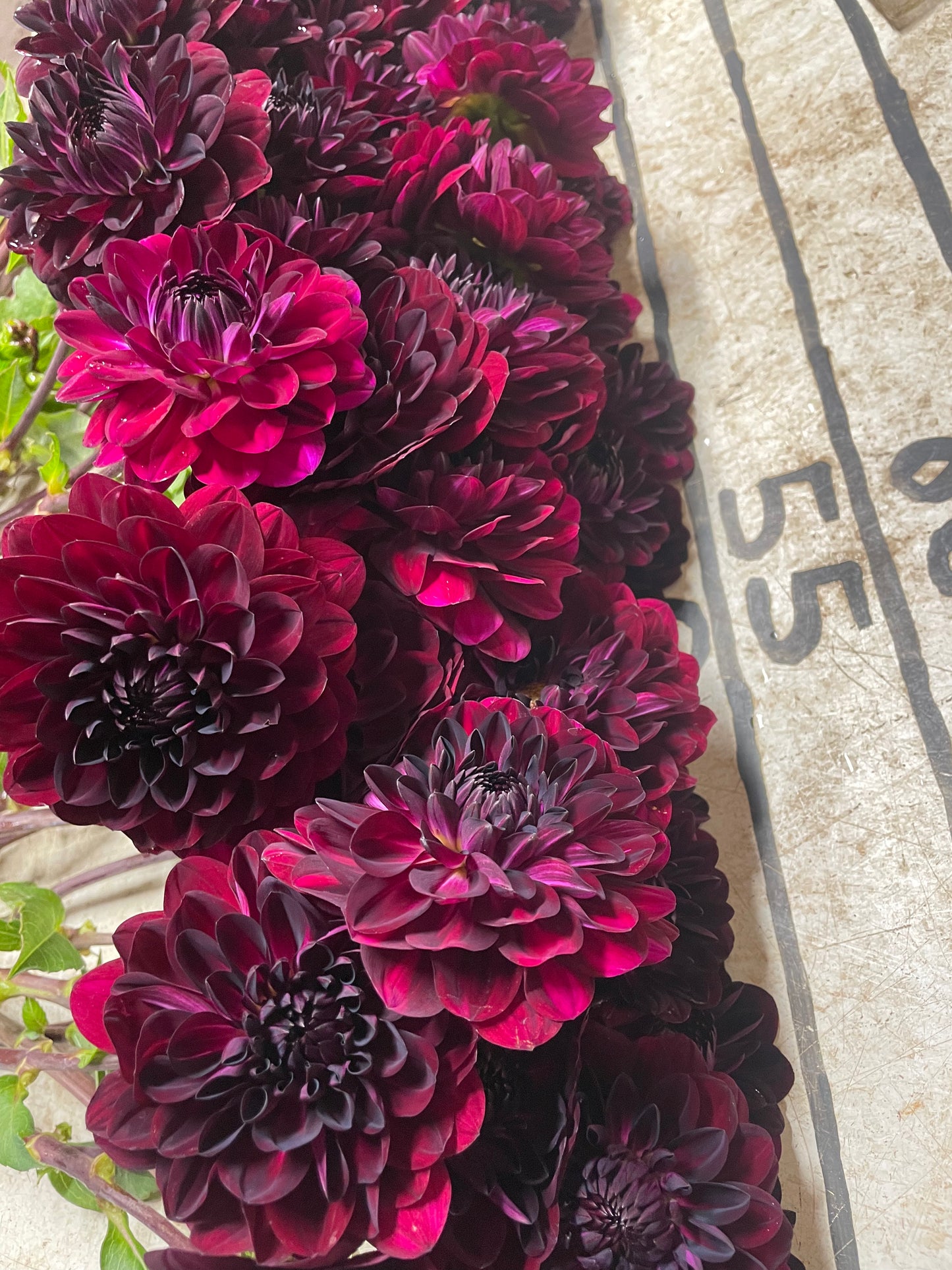 VH Performance Bundle