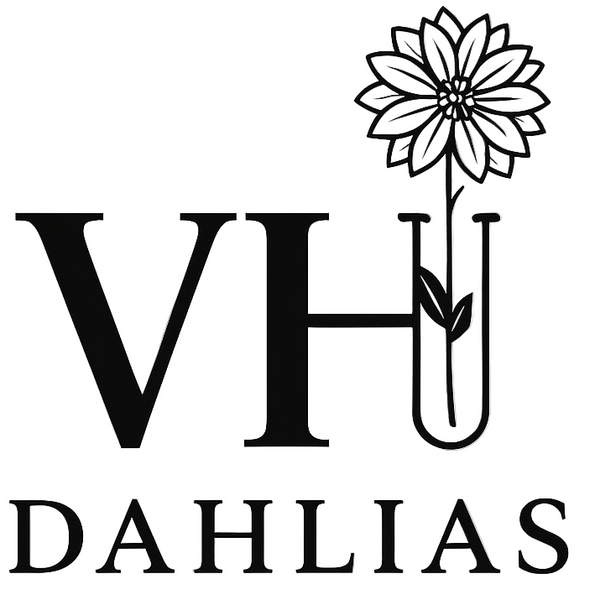 Van Hoeve Dahlias